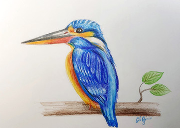 שלדג ציור בעפרונות צבעוניים