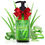 Miniatura: ALOE Vera GEL, Brighten & Glow, 99% Pure bottle, red bow, fresh aloe.