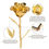 الصورة المصغرة: Gold Dipped Real 24K Gold Rose, Genuine One of a Kind Rose Hand Dipped in 24K Go