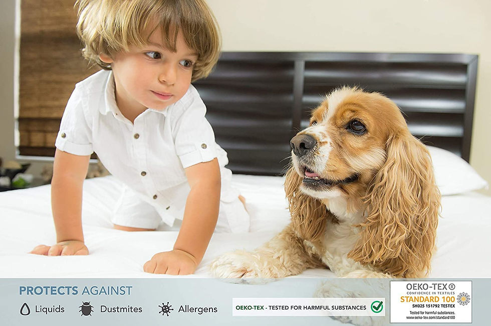 Miniaturebillede: Young boy and Cocker Spaniel dog on a white bed, looking at camera.