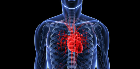 Cardiovascular drugs
