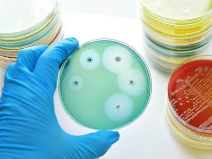 Anti bacterial