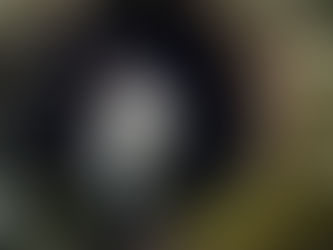 Going Down the Rohr Park Rabbit Hole