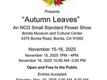 Flower Show This Weekend at Bonita Museum & Cultural Center