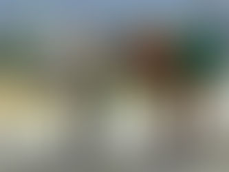 3 Mules Looking for a New Mule