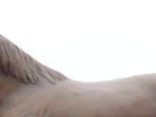 Bonita Homeowner's Message to Mayor McCann and His Response