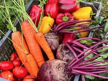 It Not Too Late to Plant Your Garden
