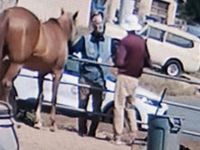 Speaking Up for a Public Park Might Come with Consequences