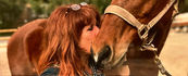Why Horses & Humans are a Match Made in Heaven