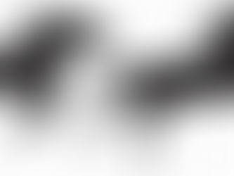 Save Bonita's Heritage