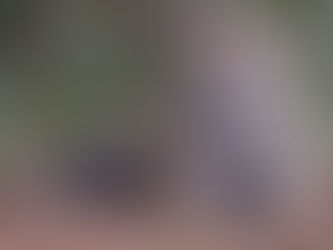 Researchers Blown Away After Finding Jaguar Population Up 30% Across Mexico