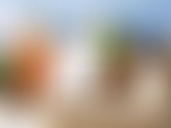 Exodus of San Diego County Replaced by Immigrant Population