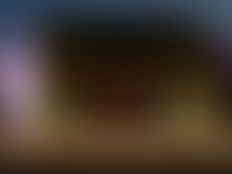 CV Council Meeting Draws a Sizable Crowd of People in Favor of Keeping Rohr Park Horse Arena in Place