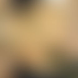 Shrimp and Broccoli Rice