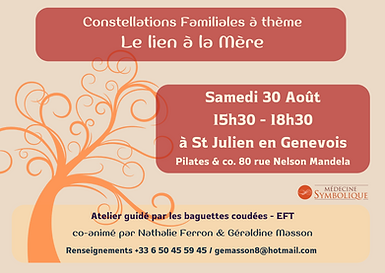 FB CF ST JU thème .png