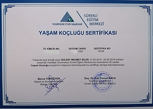 Yaşam Koçluğu-Site.jpeg