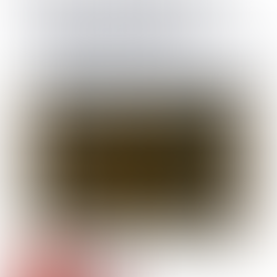 Unlock Your Shop’s Potential with Elegant Bifolding Shopfronts