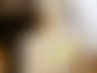 Meet Ms. Paige Turner Our Bone Chilling Skeleton Volunteer at the Fort Kent Public Library