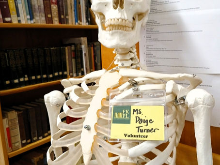 Meet Ms. Paige Turner Our Bone Chilling Skeleton Volunteer at the Fort Kent Public Library