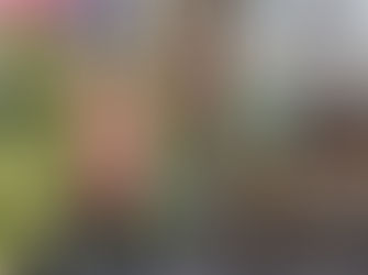 What Should We Name Our Library Bunny?