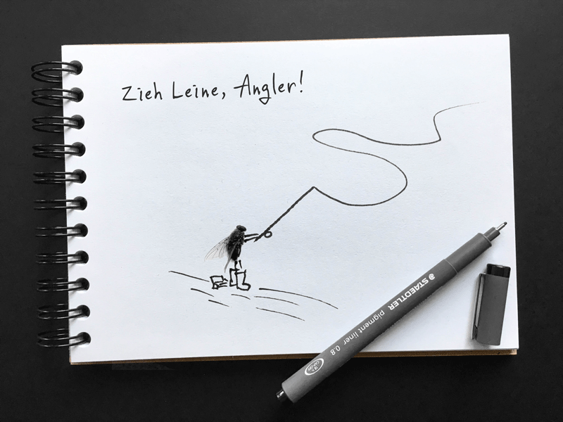 Fliegenfischen auf Meerforelle