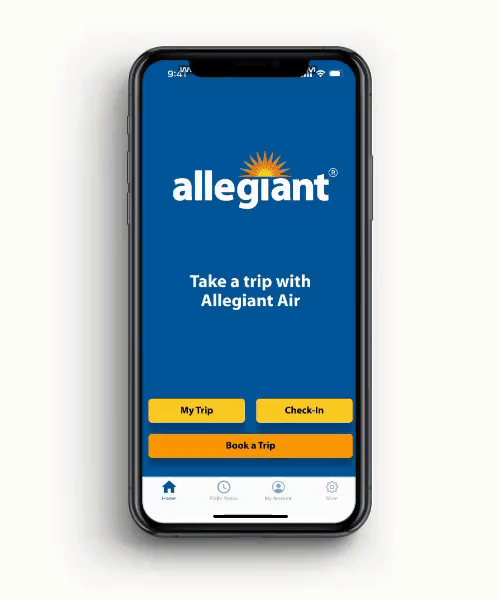 Allegiant Air demo3.gif