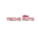 TECHZ AUTO (1).png