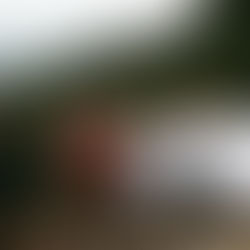 OUR CHILDREN NEED THE VILLAGE