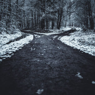 Choose the Right Path