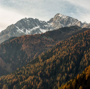 Boundaries Create Freedom