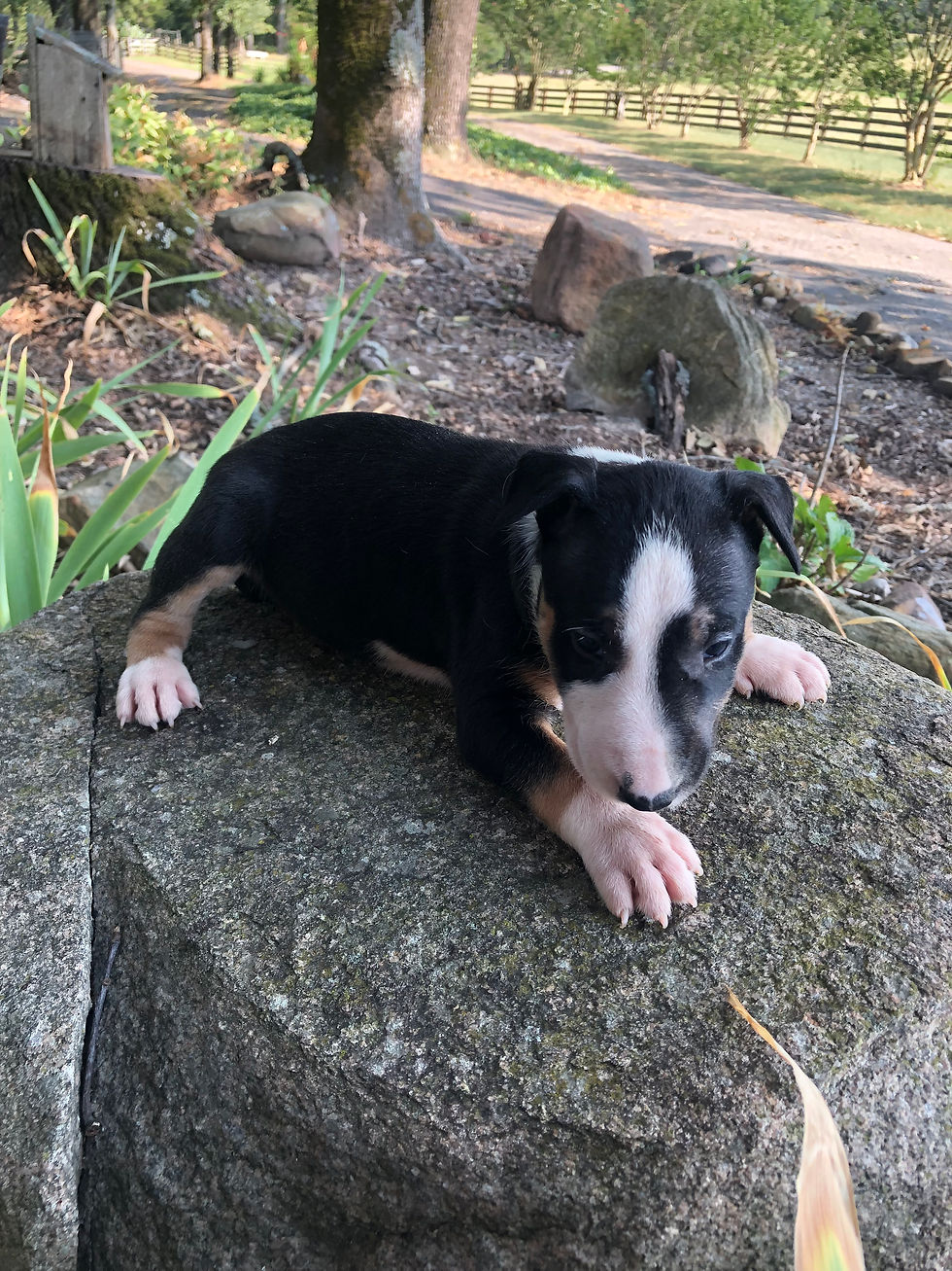 Thumbnail: Male #1   Born 7/02/26