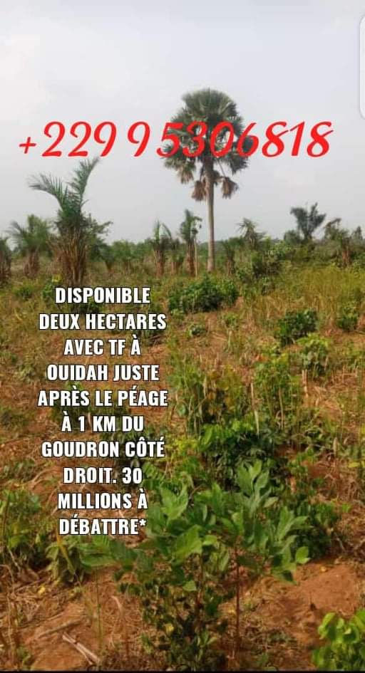 Miniature : Des parcelles moins chère avec nous