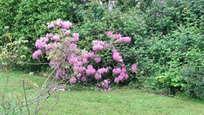 23 Mai :Château-Renard.