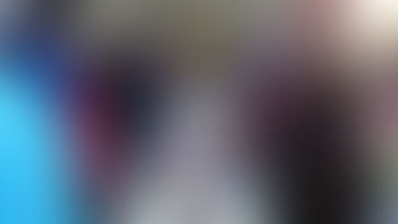 11 janvier. St Firmin des Bois