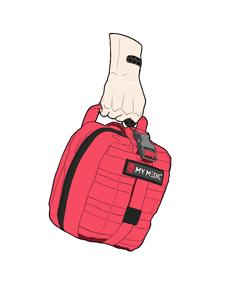 Myfakswingbag.gif