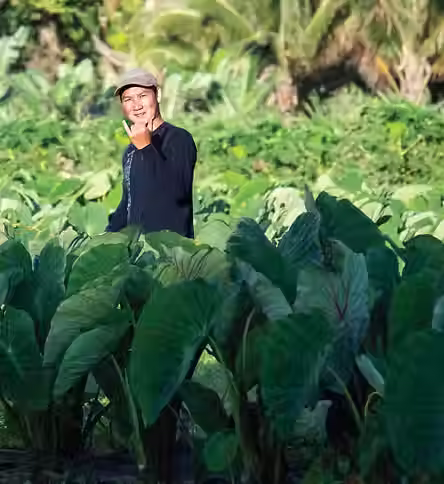kualoa grown mahiai.avif