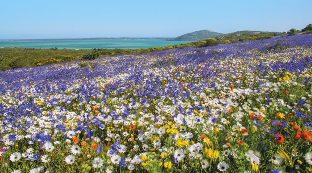 Doringbaai Weskus dorpie Foto Nr. 9 Weskus Slaap