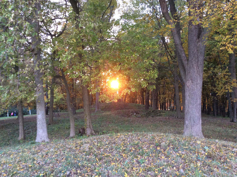 Snake Den Mounds Preservation Society Fall Cleanup Day