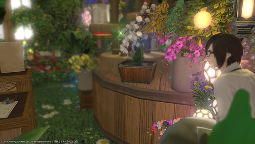 ffxiv_20210523_224022_517.png