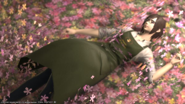 ffxiv_20210412_233944_657.png