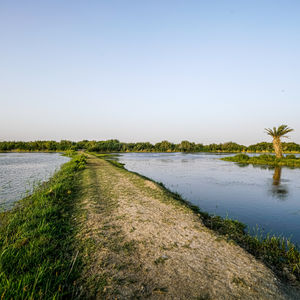 "Last Drops" is a feature documentary series that weaves together the tremendous geopolitical, climate, and social challenges of water scarcity, along with poignant and inspiring stories of individuals and institutions in 7 countries around MENA region, battling against it. Through their struggles and innovative solutions, the film highlights the urgent need for sustainable water management, conservative social and individual practices, and climate justice to ensure a future of resilience and hope.