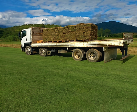 Gemini_Generated_Image_jb01rojb01rojb01.png
