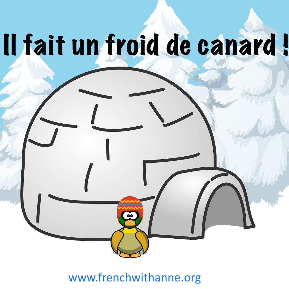 Expression du jour il fait un froid de canard