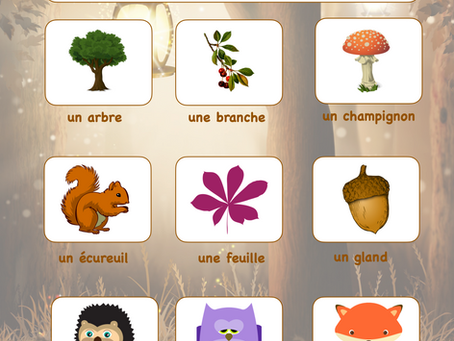 petit vocabulaire de la forêt