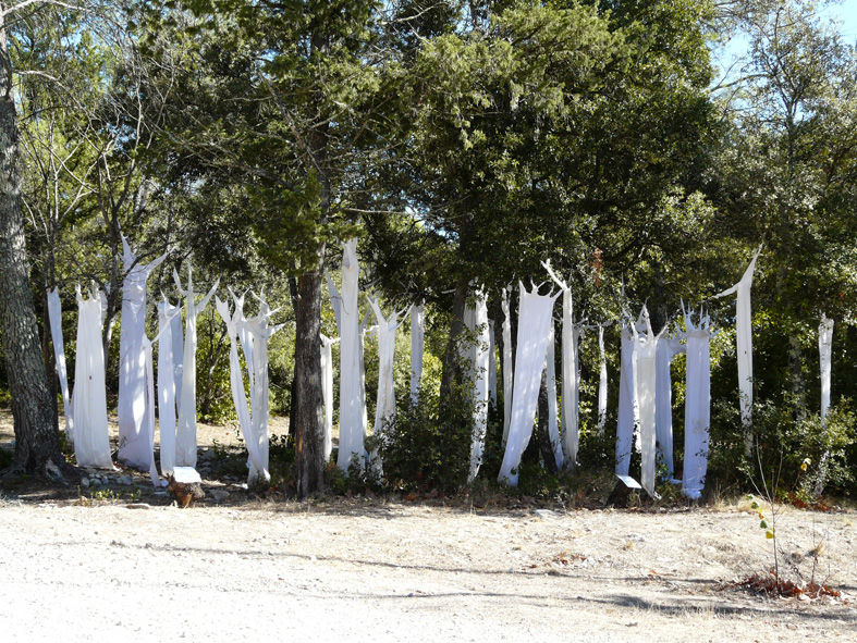 La forêt