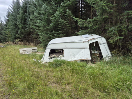 Are we out of the woods yet?