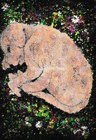 'Curly' small_1676582970.jpg