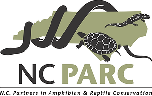 NCPARC_logo_color_pc[1].tif
