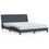 Thumbnail: vidaXL Bed Frame with LED Lights Platform Base Mattress Foundation Velvet