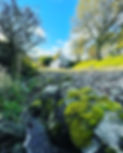 14F47D78-AB89-45E2-B588-10559FFA88A3.JPG